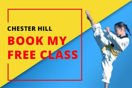 Chester Hill Martial Arts free class